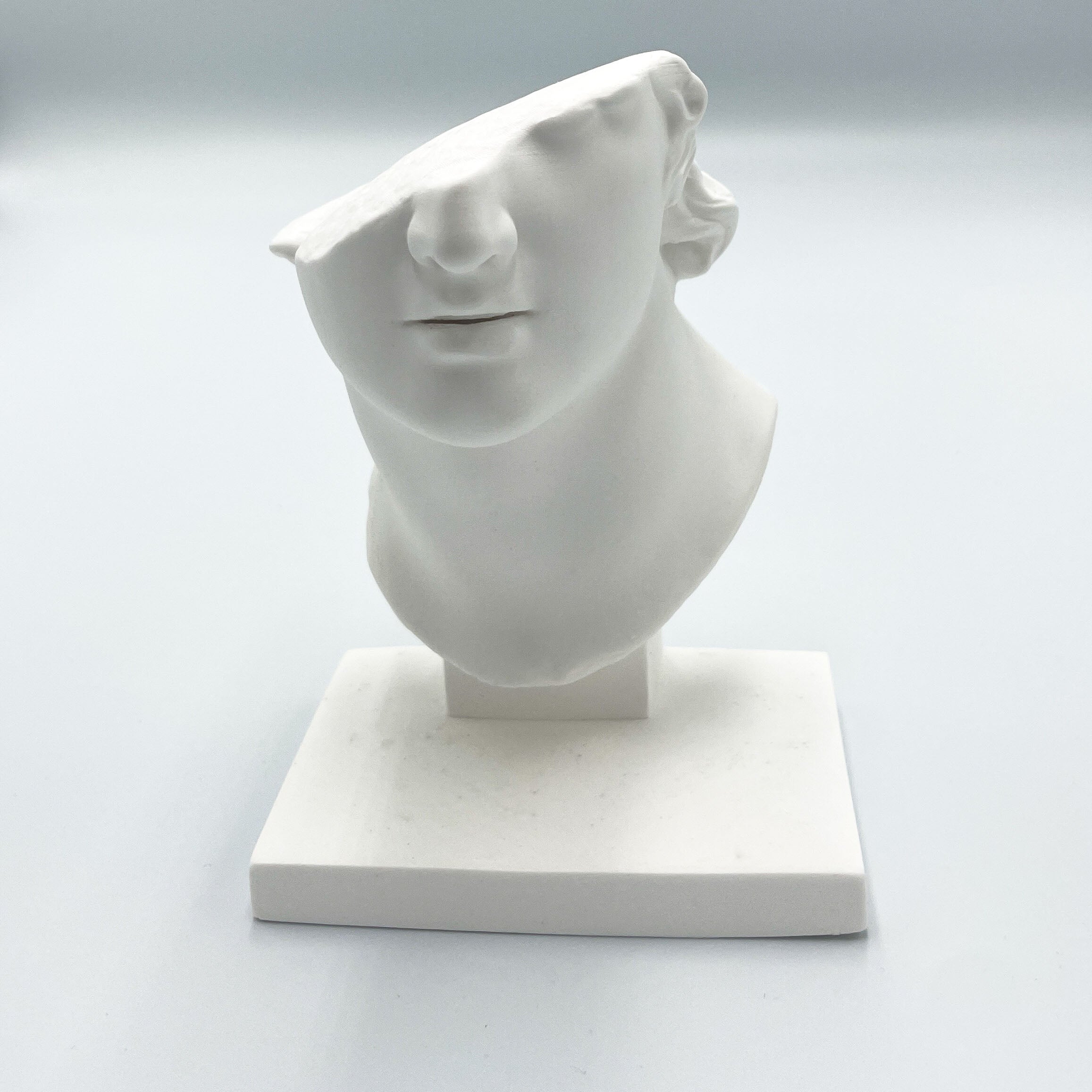 Half Male Face Sculpture