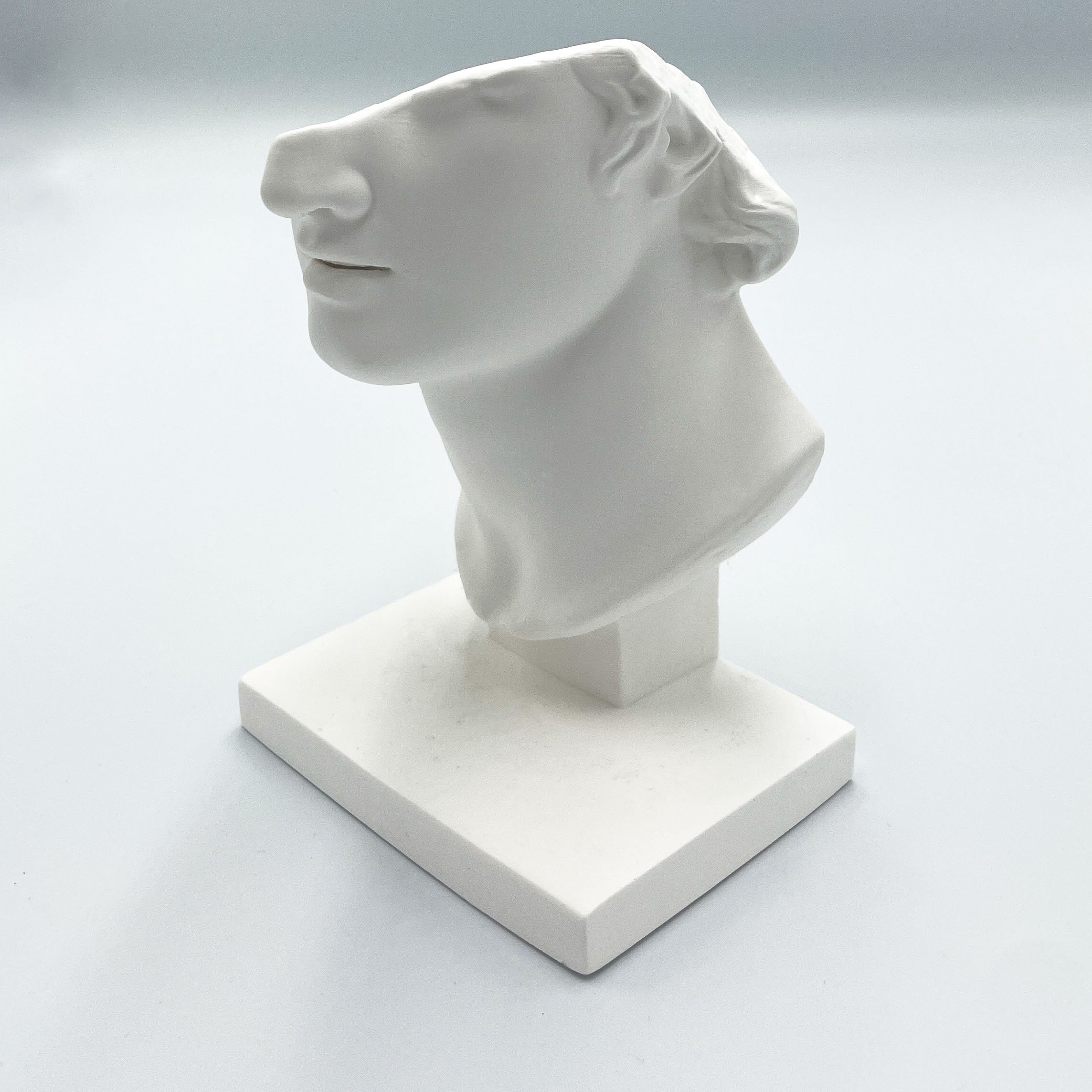 Half Male Face Sculpture