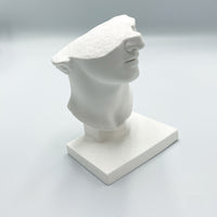 Half Male Face Sculpture