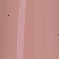 High Gloss (Toffee)