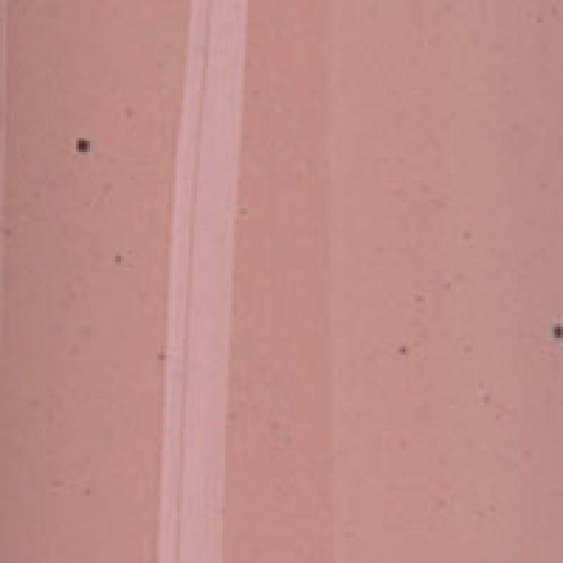 High Gloss (Toffee)