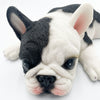 Cute French Bulldog Resin Figure