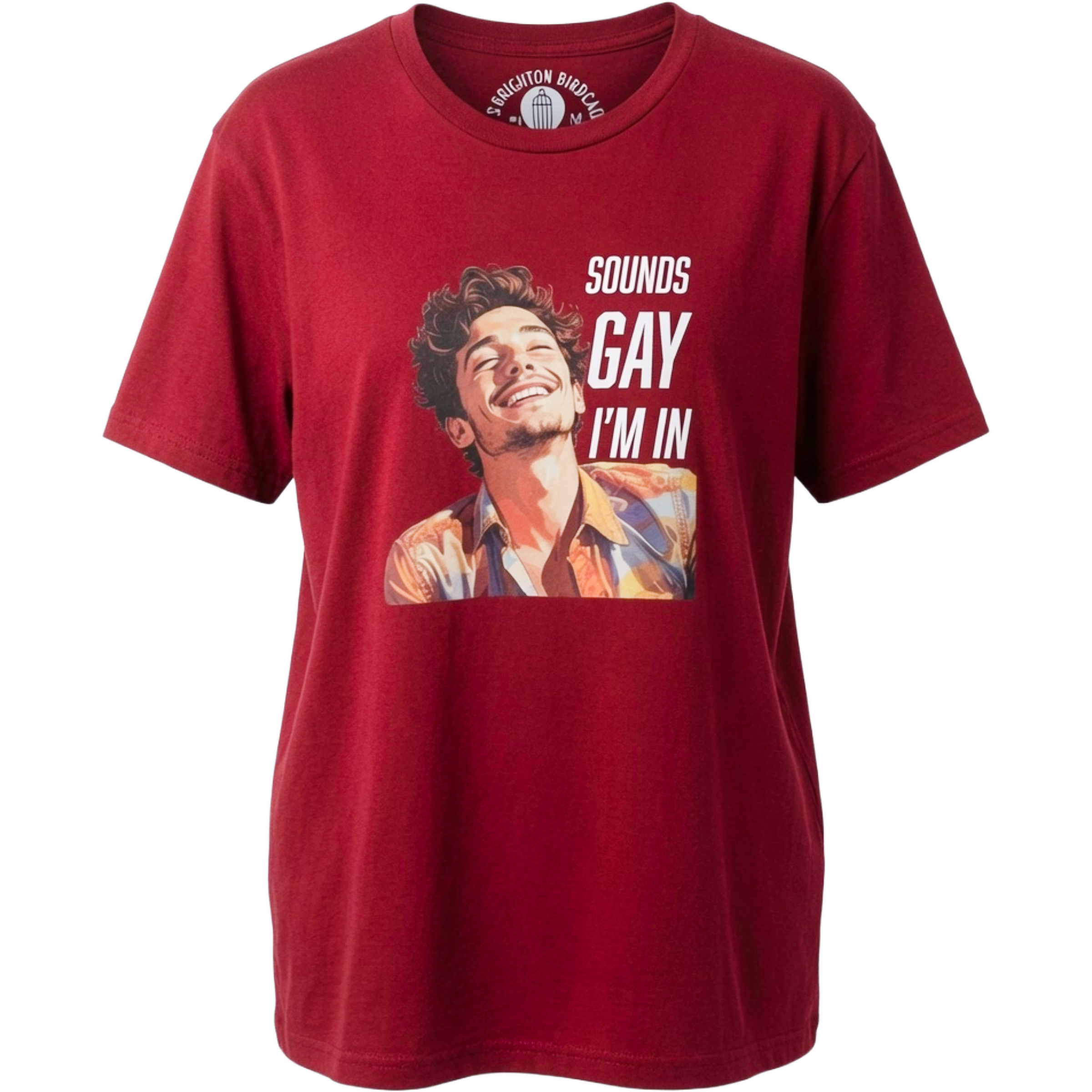 "Sounds Gay I'm In" T-shirt