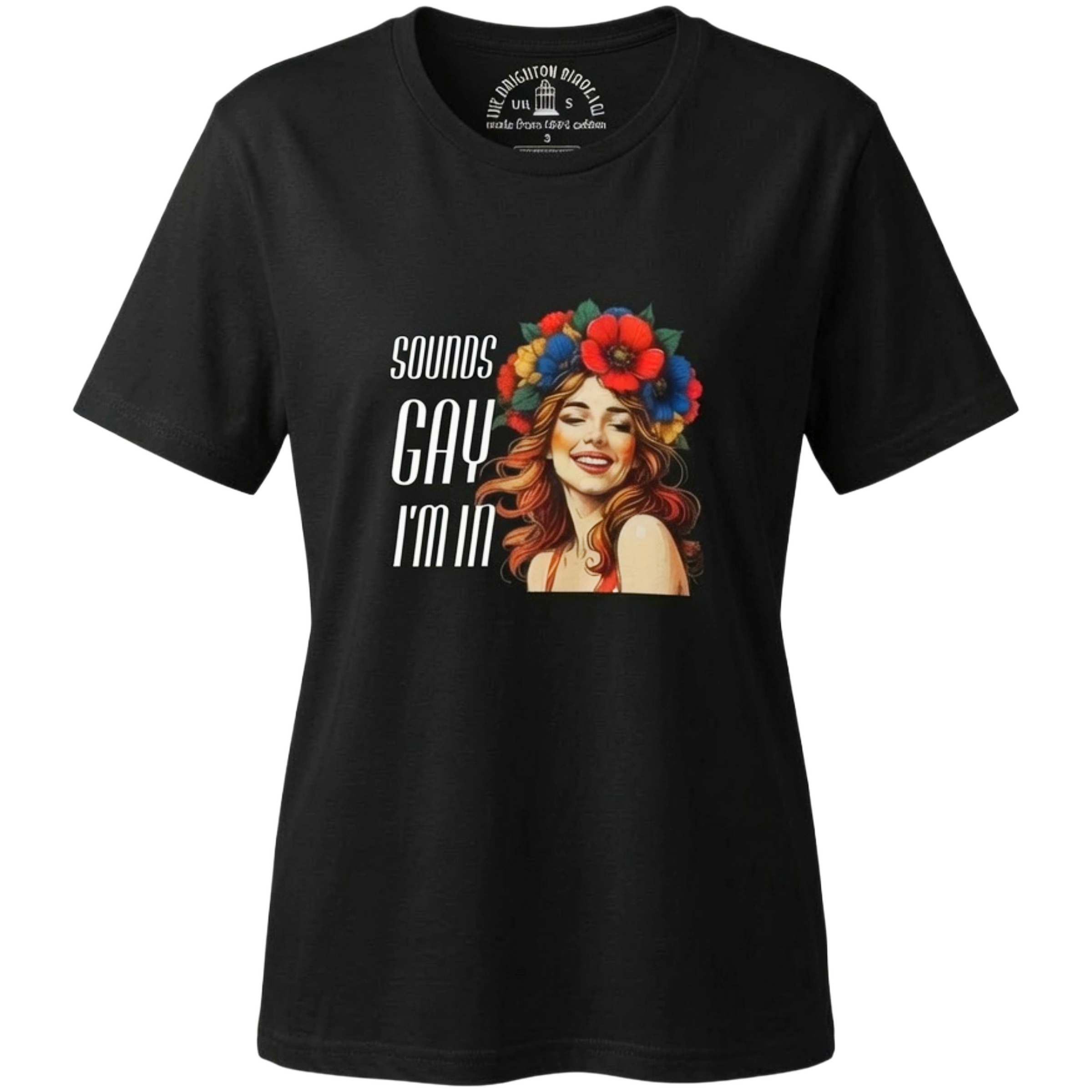 "Sounds Gay I'm in" t-shirt