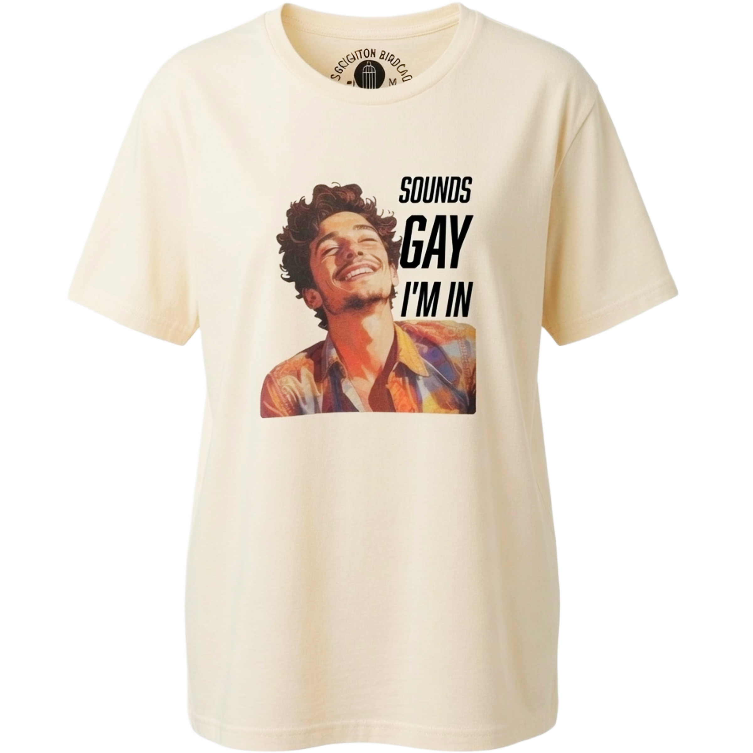 "Sounds Gay I'm In" T-shirt