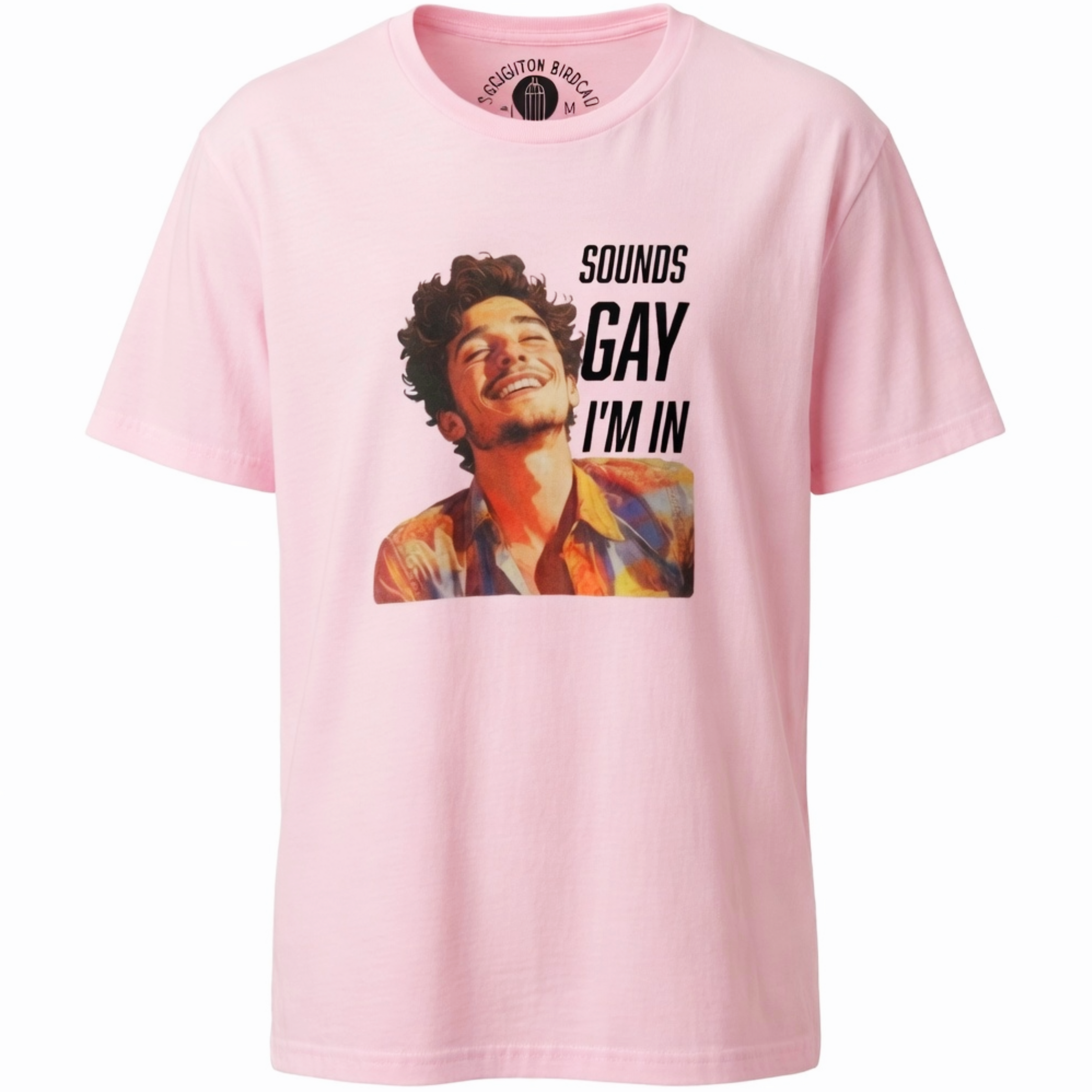 "Sounds Gay I'm In" T-shirt