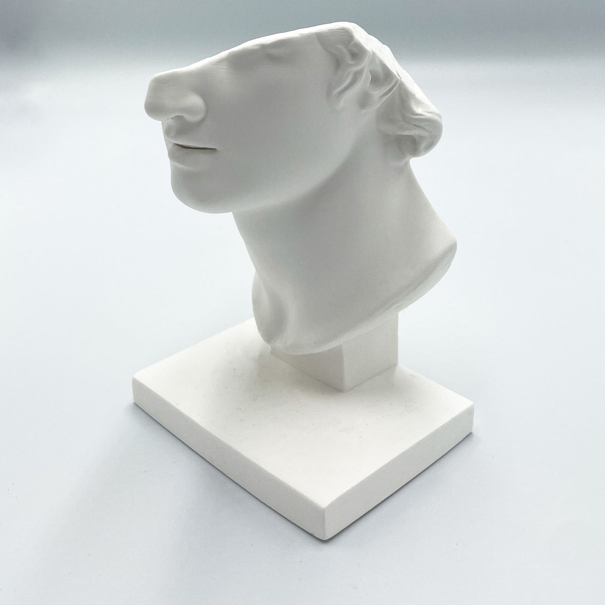 Half Male Face Sculpture