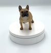 Adorable Little French Bulldog Sculpture