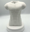 Male Torso Vase Gay